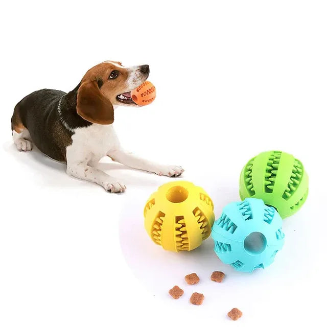 Buy Dog Ball Toy for Small Dogs – Durable & Fun

