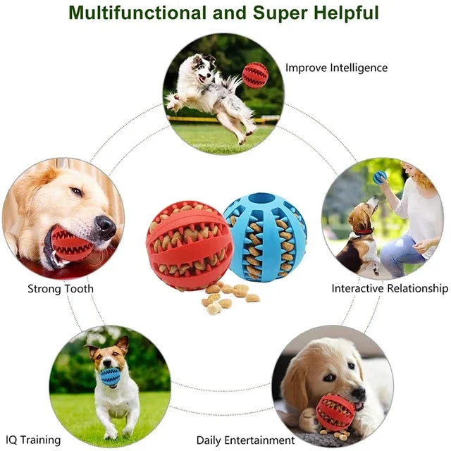 Buy Dog Ball Toy for Small Dogs – Durable & Fun

